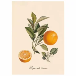 Online Affiche Bigarrade Couronnée Déco Murale, Papier Peint