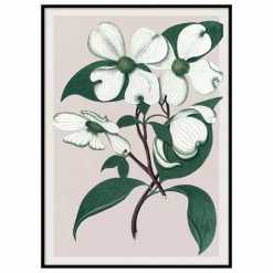 New Affiche Cornus Florida Déco Murale, Papier Peint