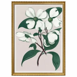 New Affiche Cornus Florida Déco Murale, Papier Peint