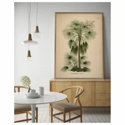 Outlet Affiche Livistona Humilis Déco Murale, Papier Peint