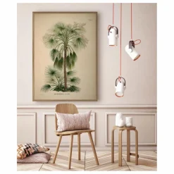 Outlet Affiche Livistona Humilis Déco Murale, Papier Peint