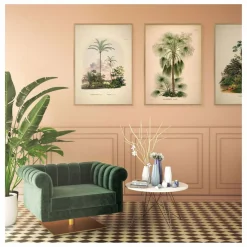 Outlet Affiche Livistona Humilis Déco Murale, Papier Peint