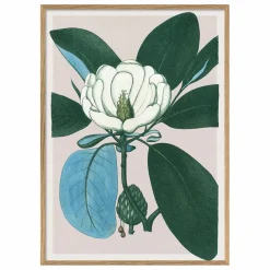 Outlet Affiche Magnolia Glauca Déco Murale, Papier Peint
