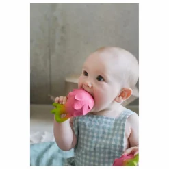 Outlet Anneau de dentition Fuscia le fruit du dragon Hochets Et Anneaux De Dentition|Puériculture