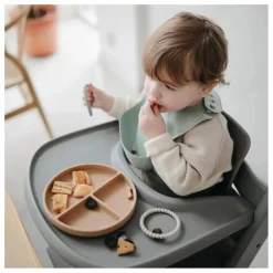 Best Assiette en silicone | Premiers Repas|Puériculture