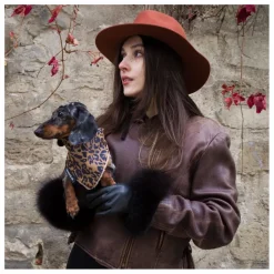 Bandana Chien Léopard | Accessoires Animaux