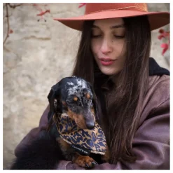 Bandana Chien Léopard | Accessoires Animaux