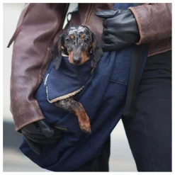 Bandana Denim Chien | Accessoires Animaux