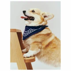 Bandana pour chien | Accessoires Animaux