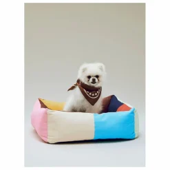 Clearance Bandana pour chien | Accessoires Animaux