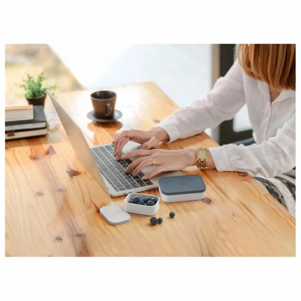 Clearance Boites de compartimentation pour bento MB Extra - Set de 4 | Homme Art De La Table|Voyage, Outdoor