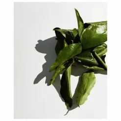 Bougie parfumée Grapefruit - 260g | Homme Bougies, Senteurs|Bougies, Senteurs