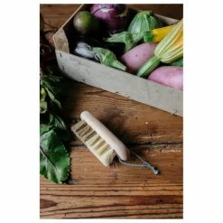Clearance Brosse à légumes en hêtre Nettoyage Et Entretien