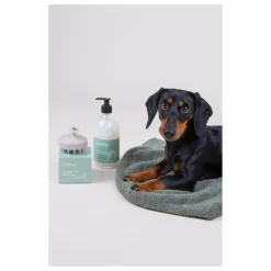 Online Brosse de massage pour chien Holidog Accessoires Animaux
