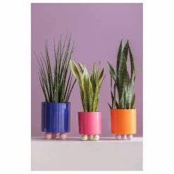 Hot Cache-pot Double Funky | Vases, Objets Déco