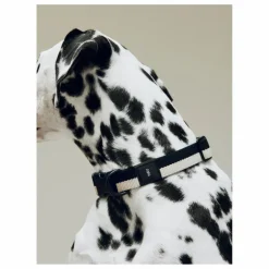 Collier | Accessoires Animaux