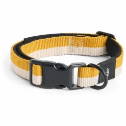 Discount Collier | Accessoires Animaux