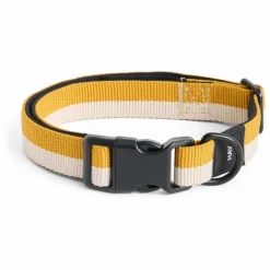 Discount Collier | Accessoires Animaux