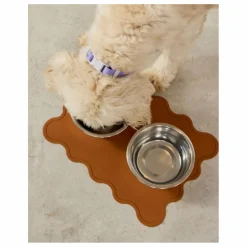 Online Collier pour chien | Lilas Accessoires Animaux