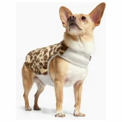 Online Doudoune réversible | Accessoires Animaux