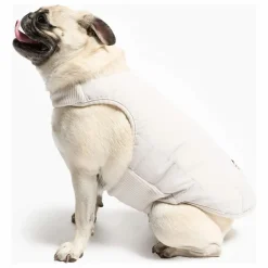 Online Doudoune réversible | Accessoires Animaux