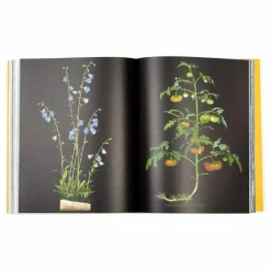 Best Evergreen living with plants - EN Homme Livres|Livres, Jeux