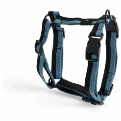 Harnais | Accessoires Animaux