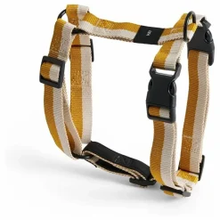 Best Harnais | Accessoires Animaux