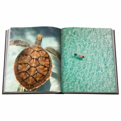 Outlet Jamaica Vibes Homme Livres|Livres, Jeux