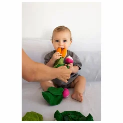 Jouet de dentition Cathy la carotte Hochets Et Anneaux De Dentition|Puériculture