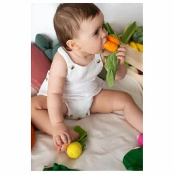 Jouet de dentition Cathy la carotte Hochets Et Anneaux De Dentition|Puériculture