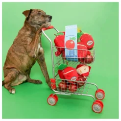 Online Jouet de fouille Apple | Accessoires Animaux