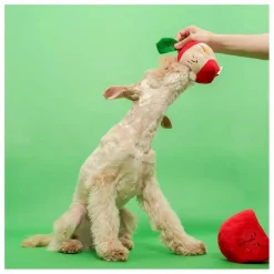 Online Jouet de fouille Apple | Accessoires Animaux