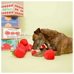 Online Jouet de fouille Apple | Accessoires Animaux