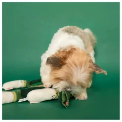 Clearance Jouet de fouille Green Onion | Accessoires Animaux