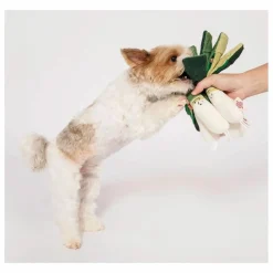 Clearance Jouet de fouille Green Onion | Accessoires Animaux