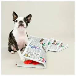 Jouet de fouille Newspapper | Accessoires Animaux