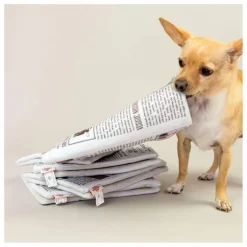 Jouet de fouille Newspapper | Accessoires Animaux