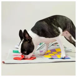 Jouet de fouille Newspapper | Accessoires Animaux