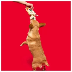 New Jouet de fouille Pizza Accessoires Animaux