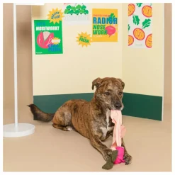 Sale Jouet de fouille Radish | Accessoires Animaux