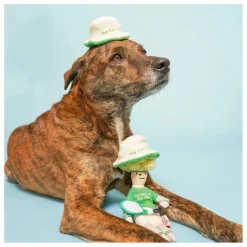 Hot Jouet de fouille Tennis Hooman | Accessoires Animaux