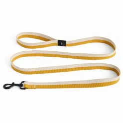 Online Laisse | Accessoires Animaux