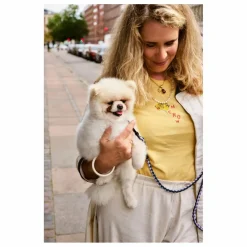 Clearance Laisse réglable | Accessoires Animaux