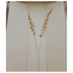 Sale Matelas à langer 67x44 cm | Matelas À Langer|Puériculture