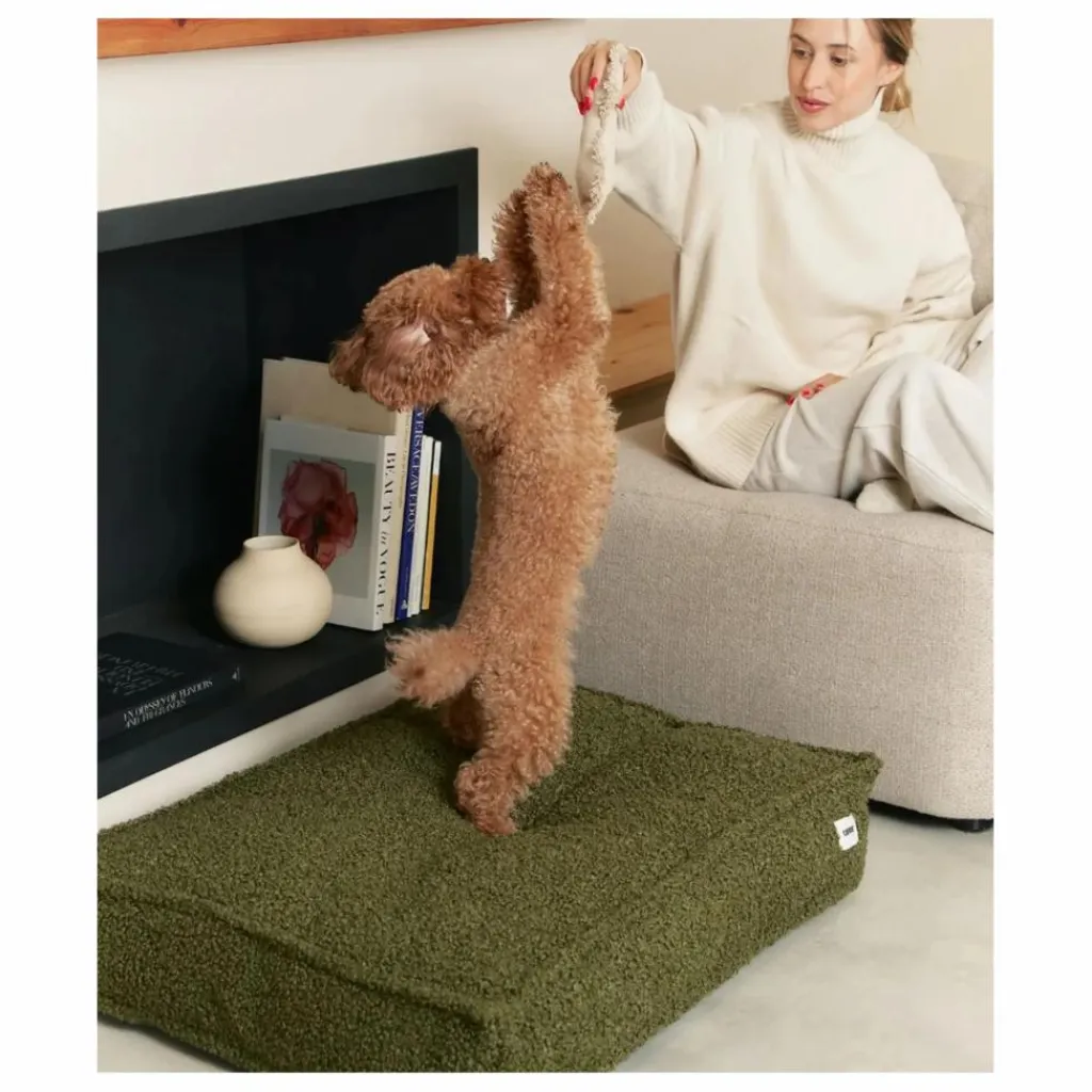 Sale Matelas pour Chien en bouclette Cuadra | Accessoires Animaux