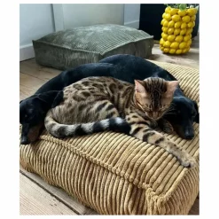 Matelas pour Chien en velours côtelé Cuadra | Accessoires Animaux