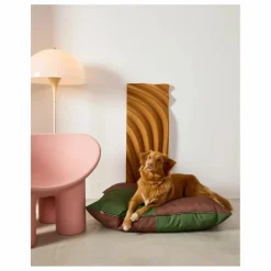 Best Matelas pour chien Quartier | Accessoires Animaux