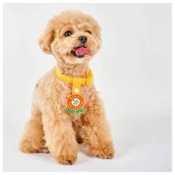 Best Médaille World's Okayest Dog | Accessoires Animaux