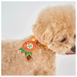 Best Médaille World's Okayest Dog | Accessoires Animaux